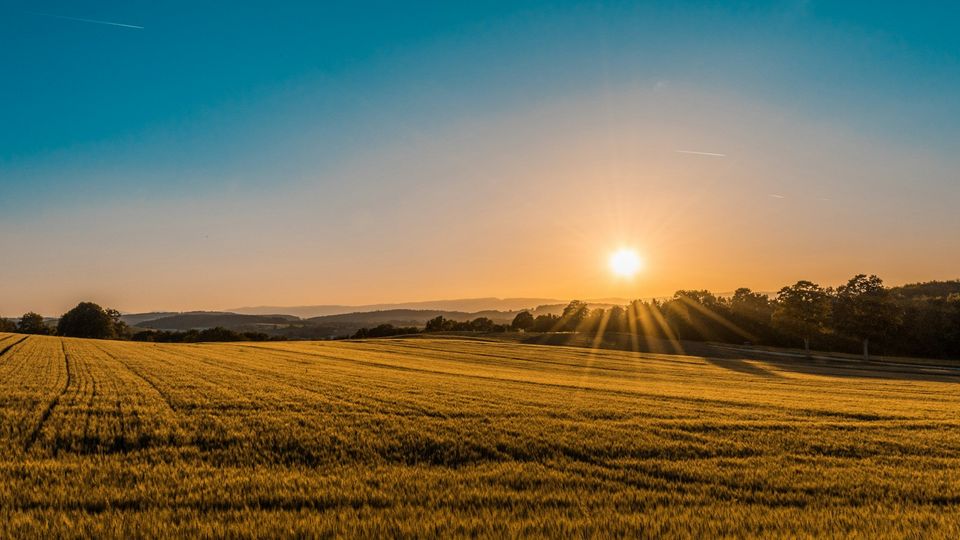 Sonniges Baugrundstück in Perchtoldsdorf